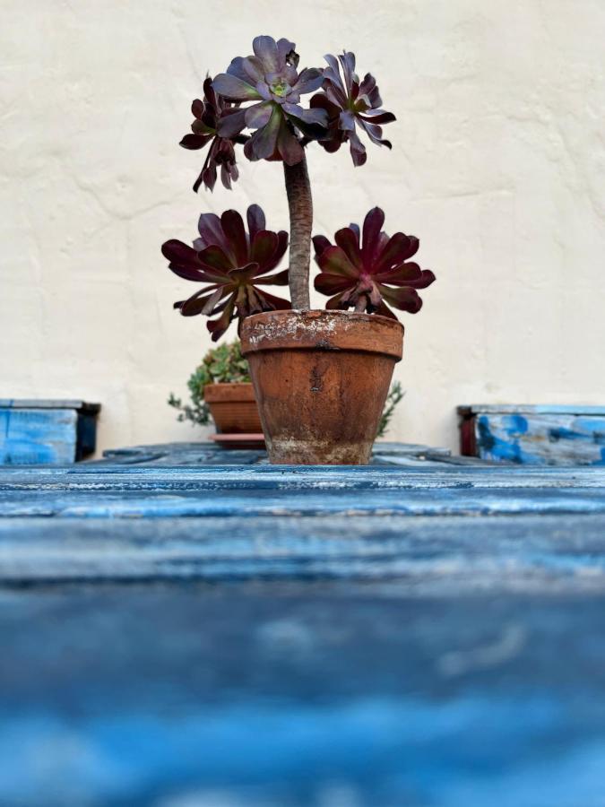 Casa Tesalia Сasa de vacaciones *